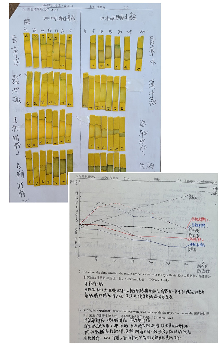 图片9：学生生物实验报告.jpg