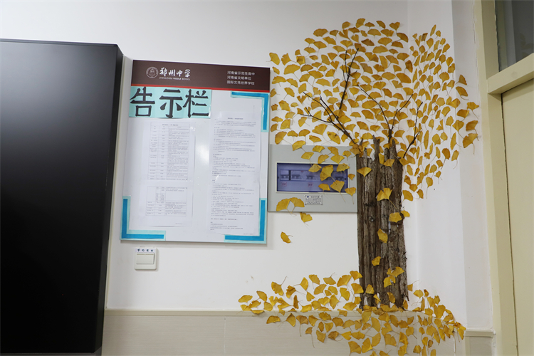 图片20：高二国际1班“银杏传情”.JPG
