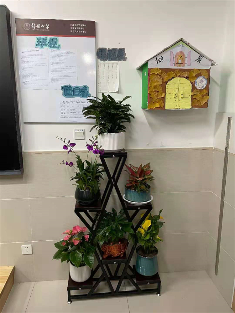 树屋.jpg
