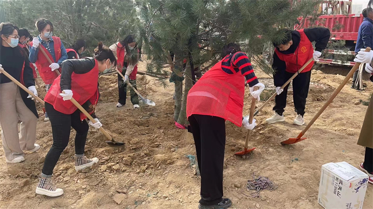 图片2 植树现场.jpg