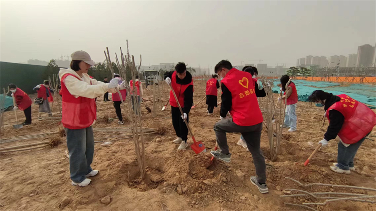 图片3 植树现场2.jpg