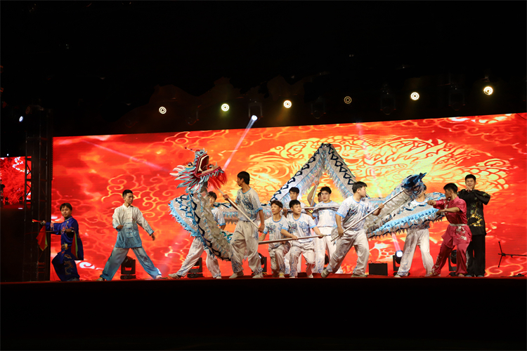 图十一：郑州大学武术表演《武韵腾蛟》.jpg
