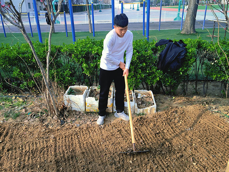 1780281383217445.jpg 图5:学生全身心投入劳动.jpg